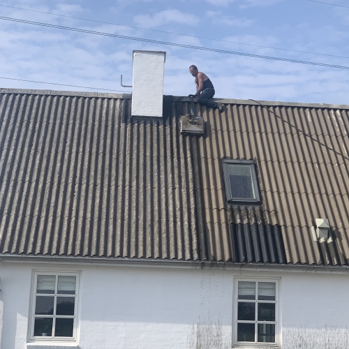 Tagrensning Viborg